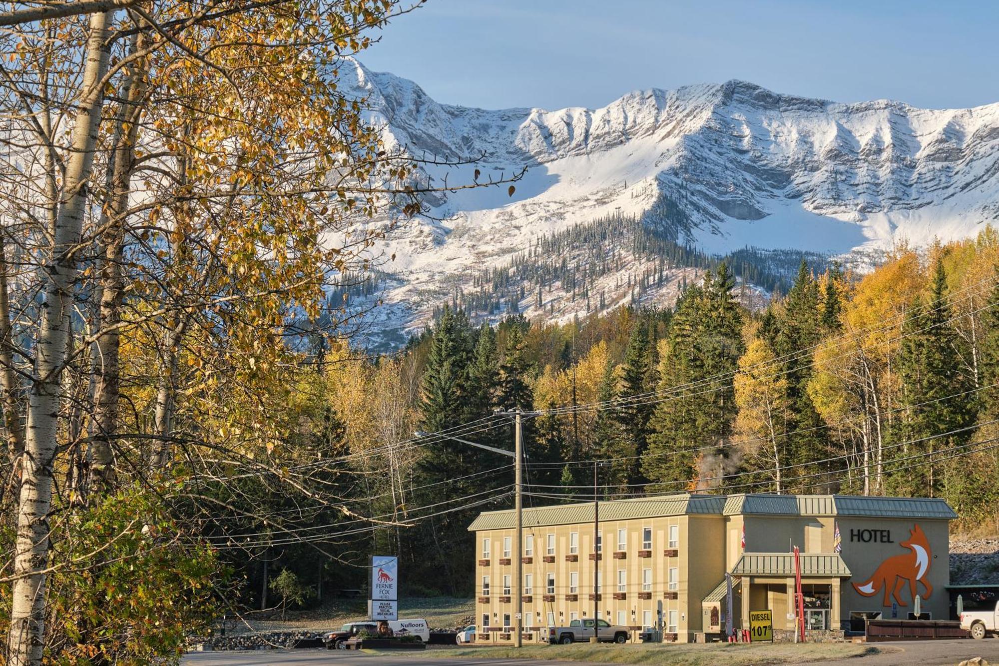 Fernie Fox Hotel Zewnętrze zdjęcie